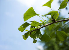 家里的配电箱怎么分配最合理？